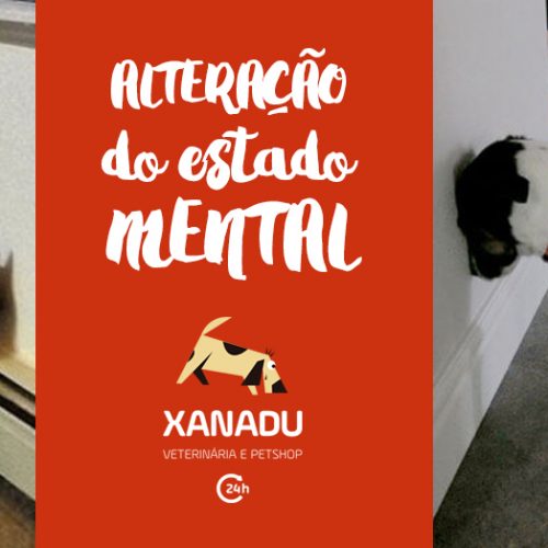 Alteração do estado mental